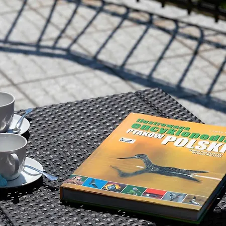 Dworek Zielinskich-domki, Pokoje, Podgrzewany Basen, Parking *